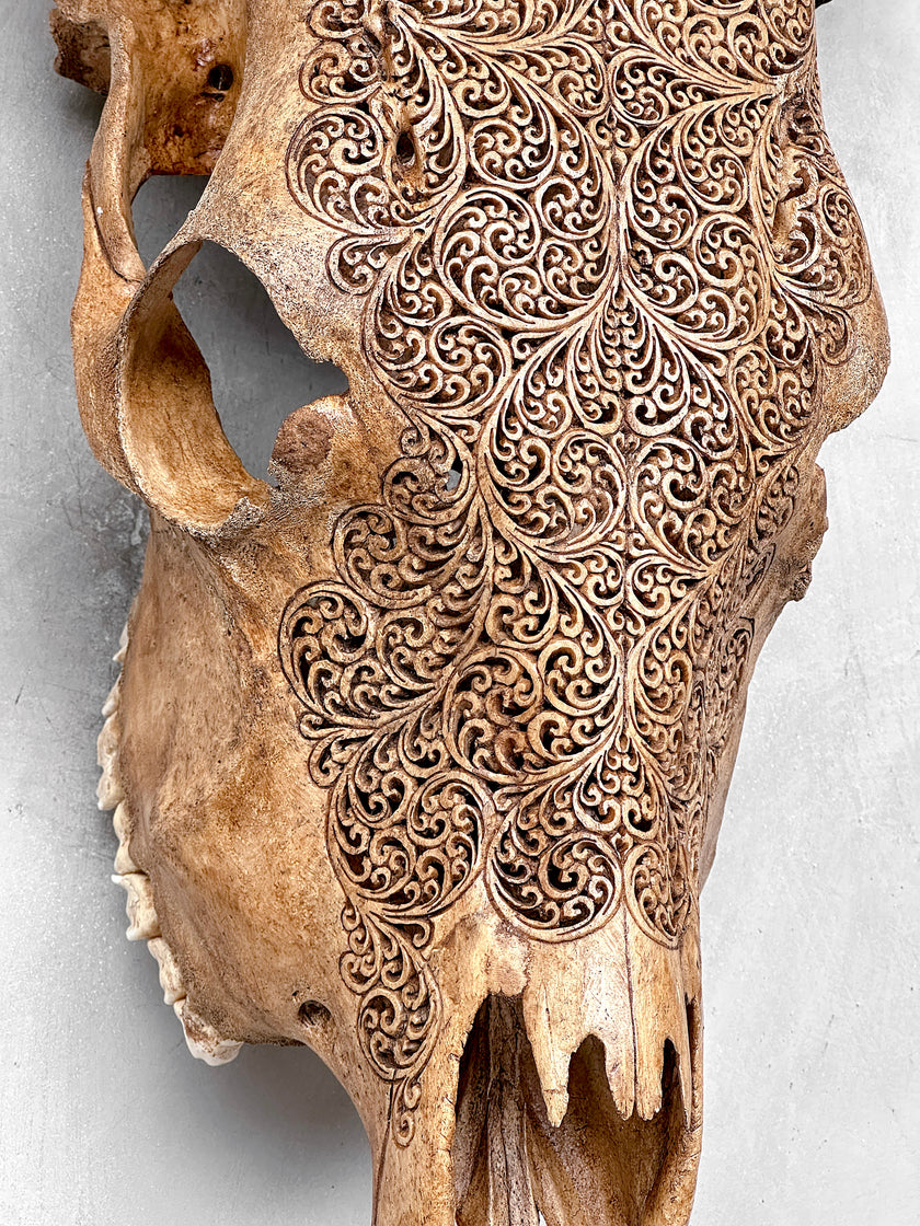 Carved Cow Skulls with Fern Carving Skull,A/183