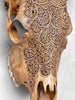 Carved Cow Skulls with Fern Carving Skull,A/183
