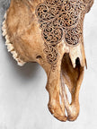 Carved Cow Skulls with Fern Carving Skull,A/183