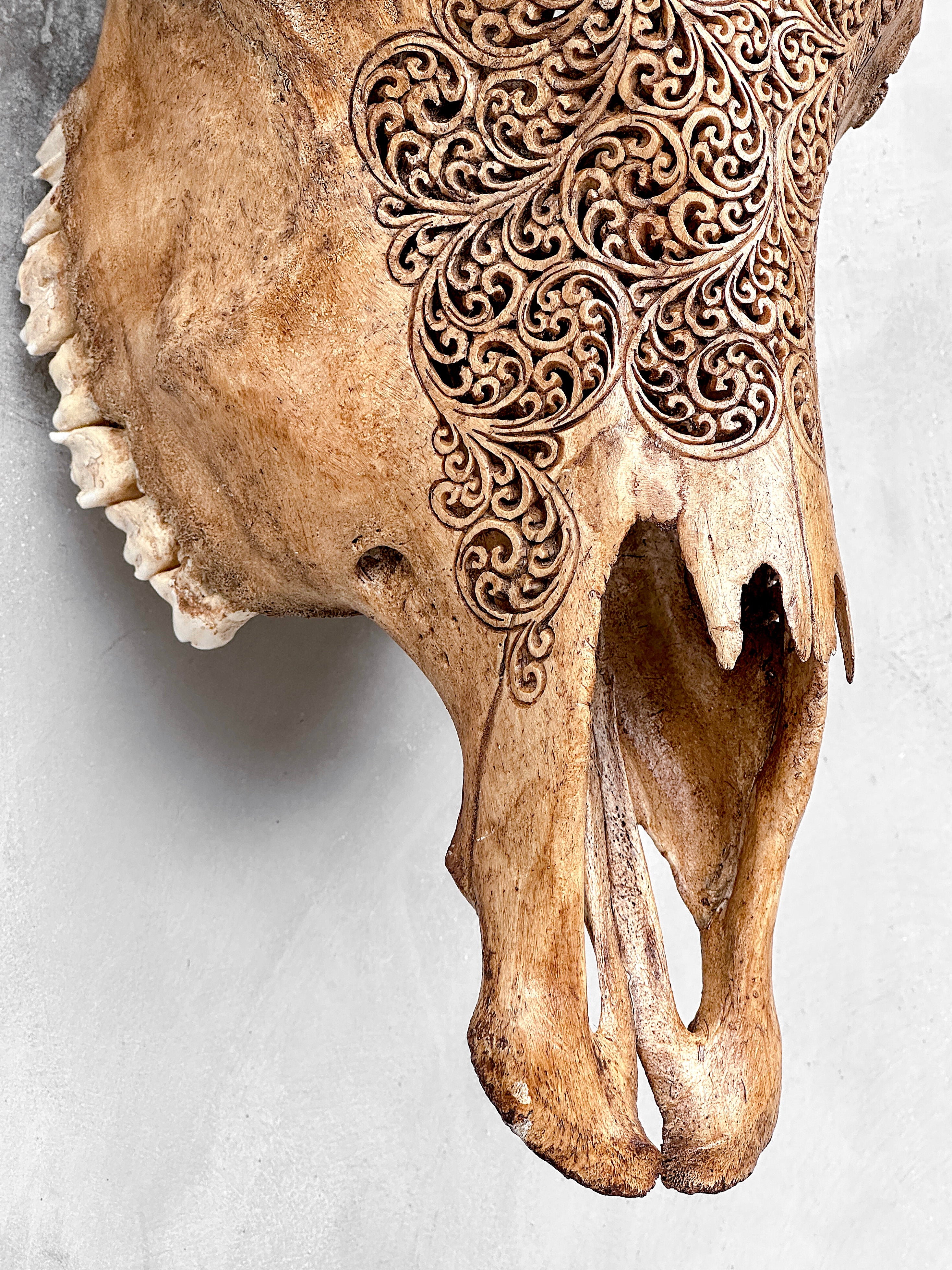 Carved Cow Skulls with Fern Carving Skull,A/183
