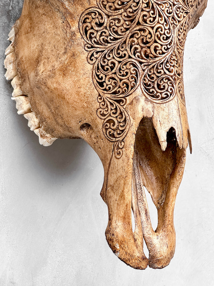 Carved Cow Skulls with Fern Carving Skull,A/183