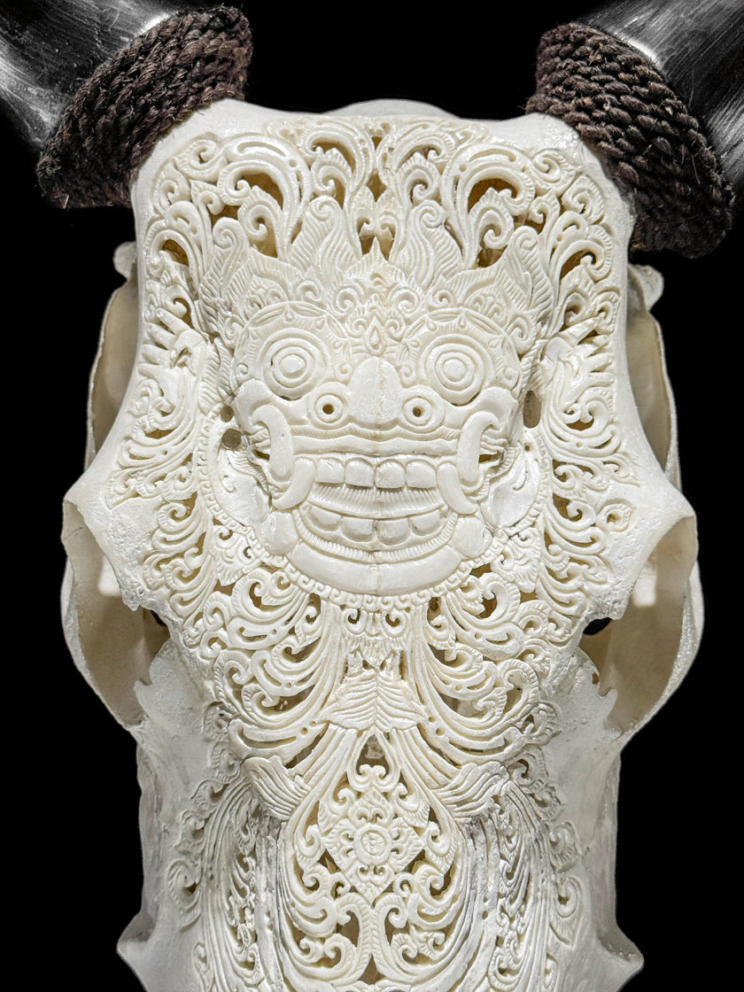 Carved Cow Skulls with Barong Carving Skull,A/070