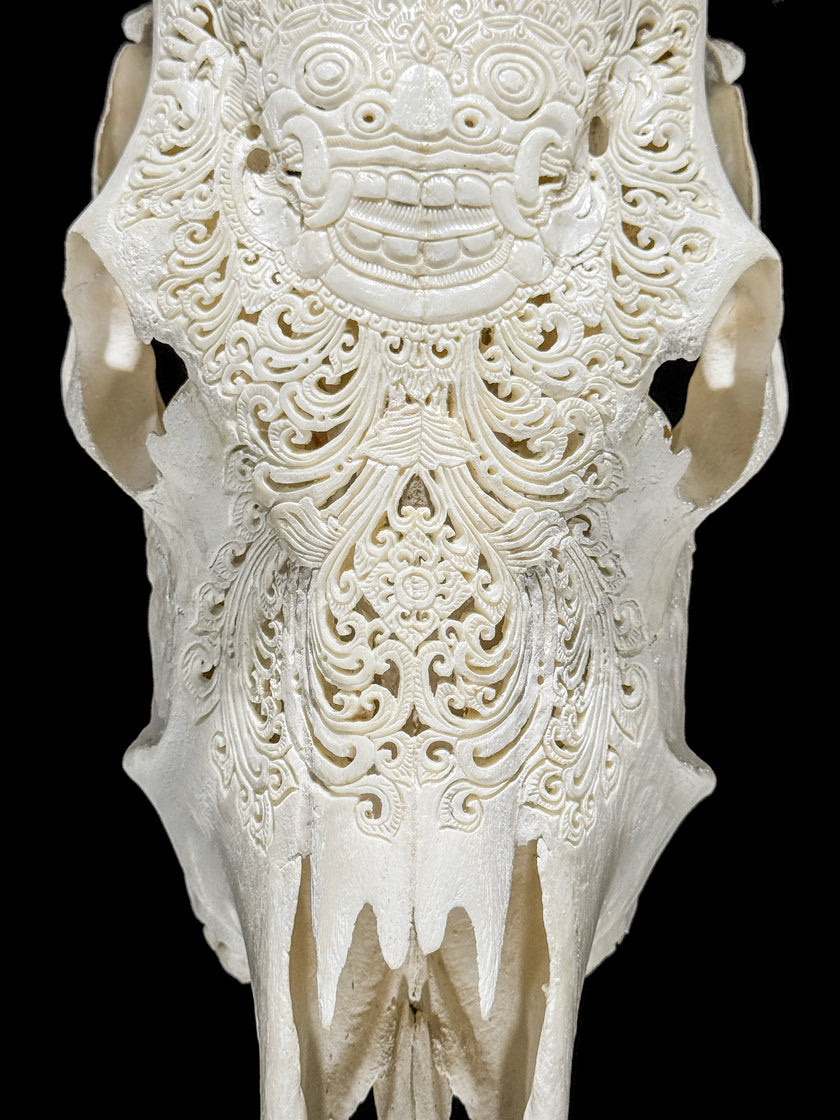 Carved Cow Skulls with Barong Carving Skull,A/070