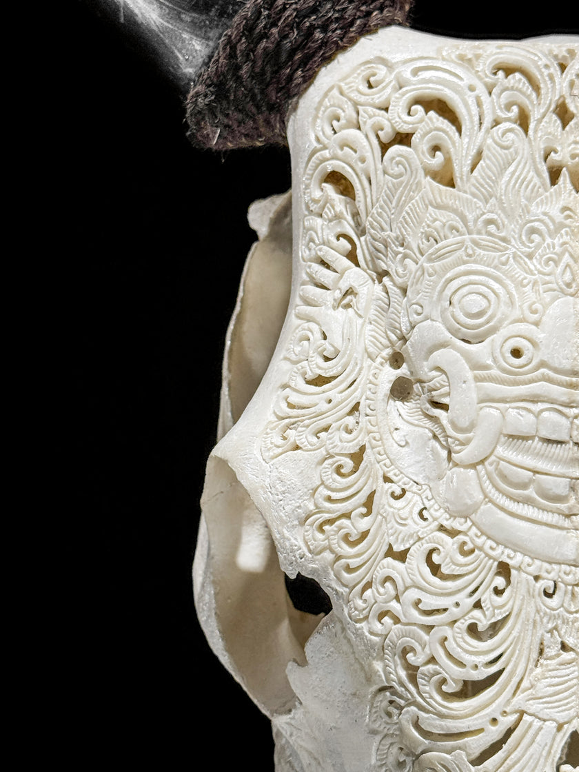 Carved Cow Skulls with Barong Carving Skull,A/070