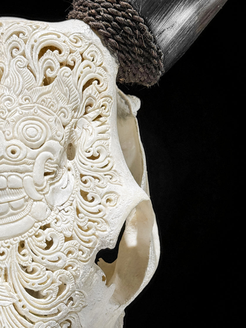 Carved Cow Skulls with Barong Carving Skull,A/070
