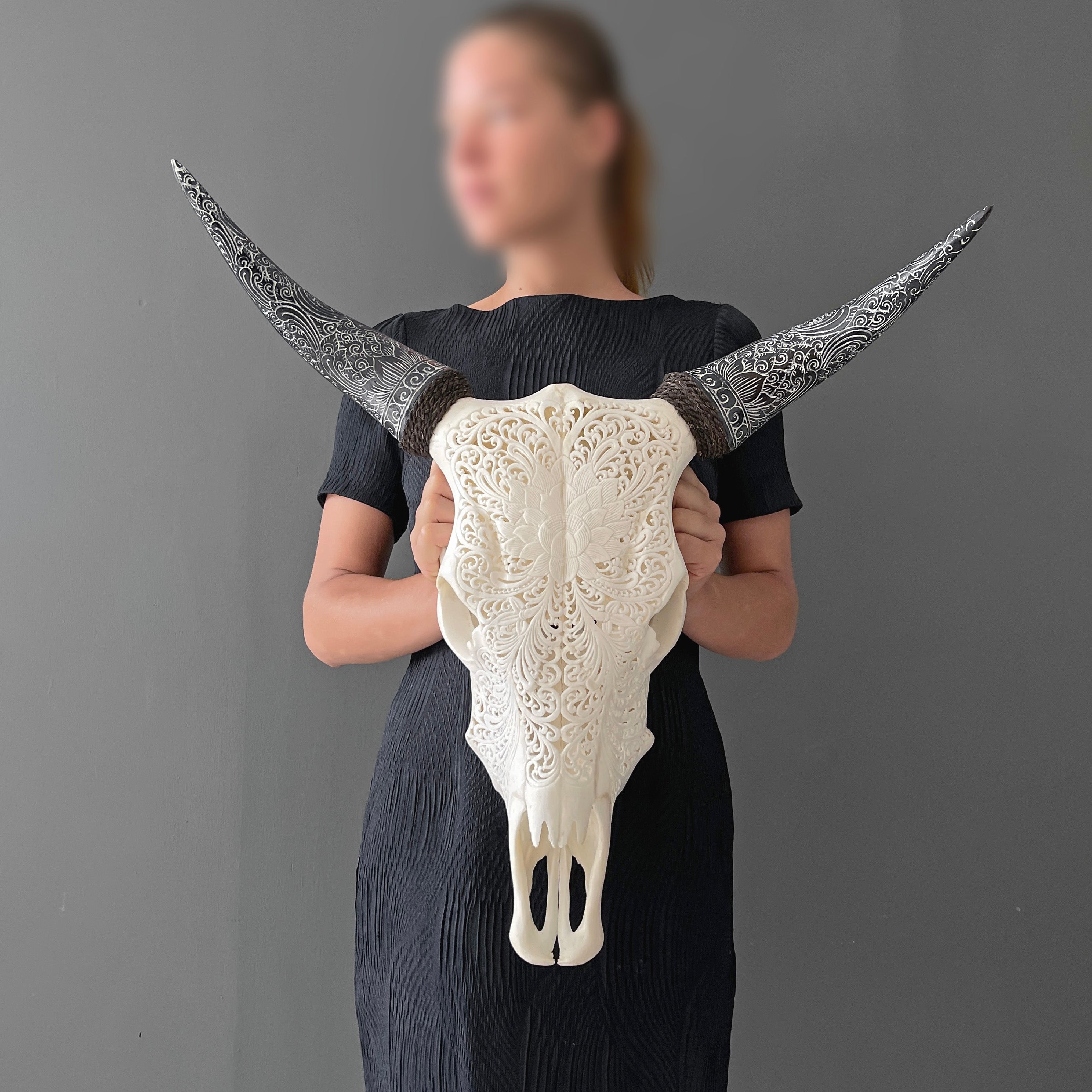 Real Carved Cow Skull with Carved Horns 22/EX/325