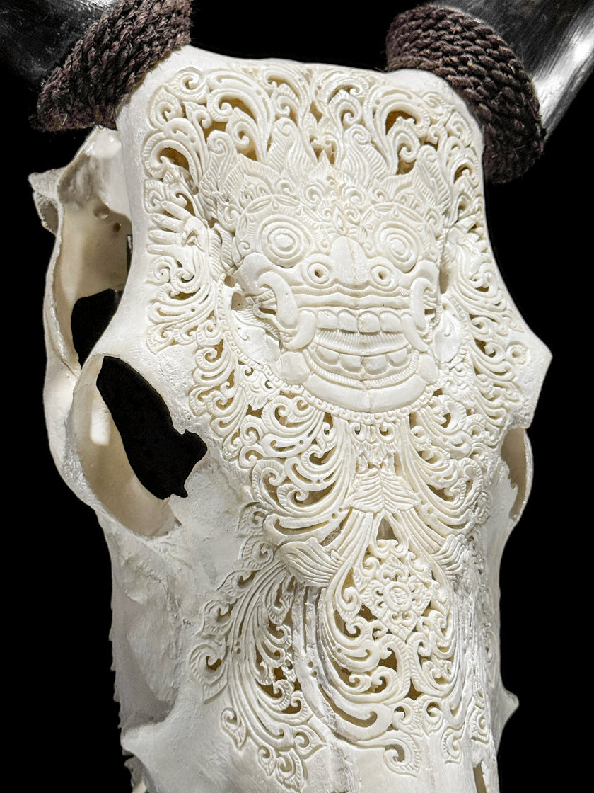 Carved Cow Skulls with Barong Carving Skull,A/070