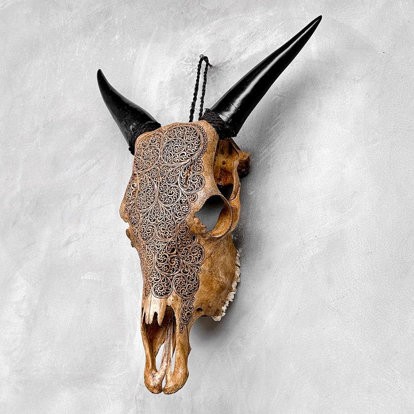 Carved Cow Skulls with Fern Carving Skull,A/183