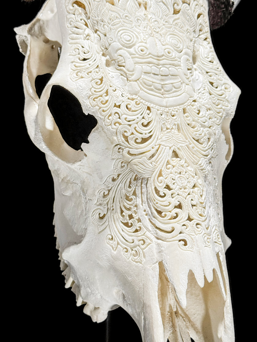 Carved Cow Skulls with Barong Carving Skull,A/070