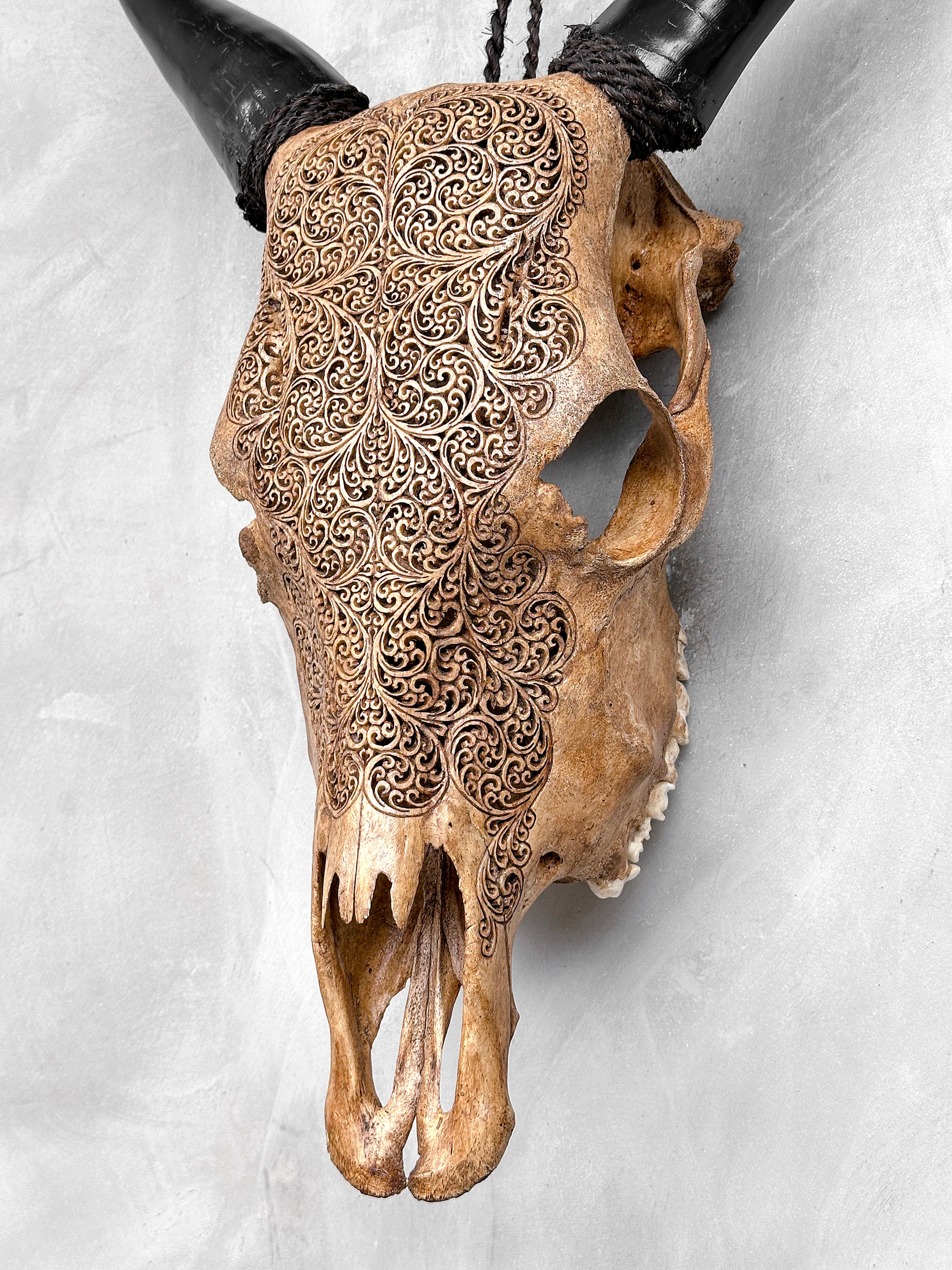 Carved Cow Skulls with Fern Carving Skull,A/183