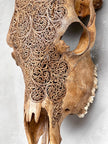 Carved Cow Skulls with Fern Carving Skull,A/183