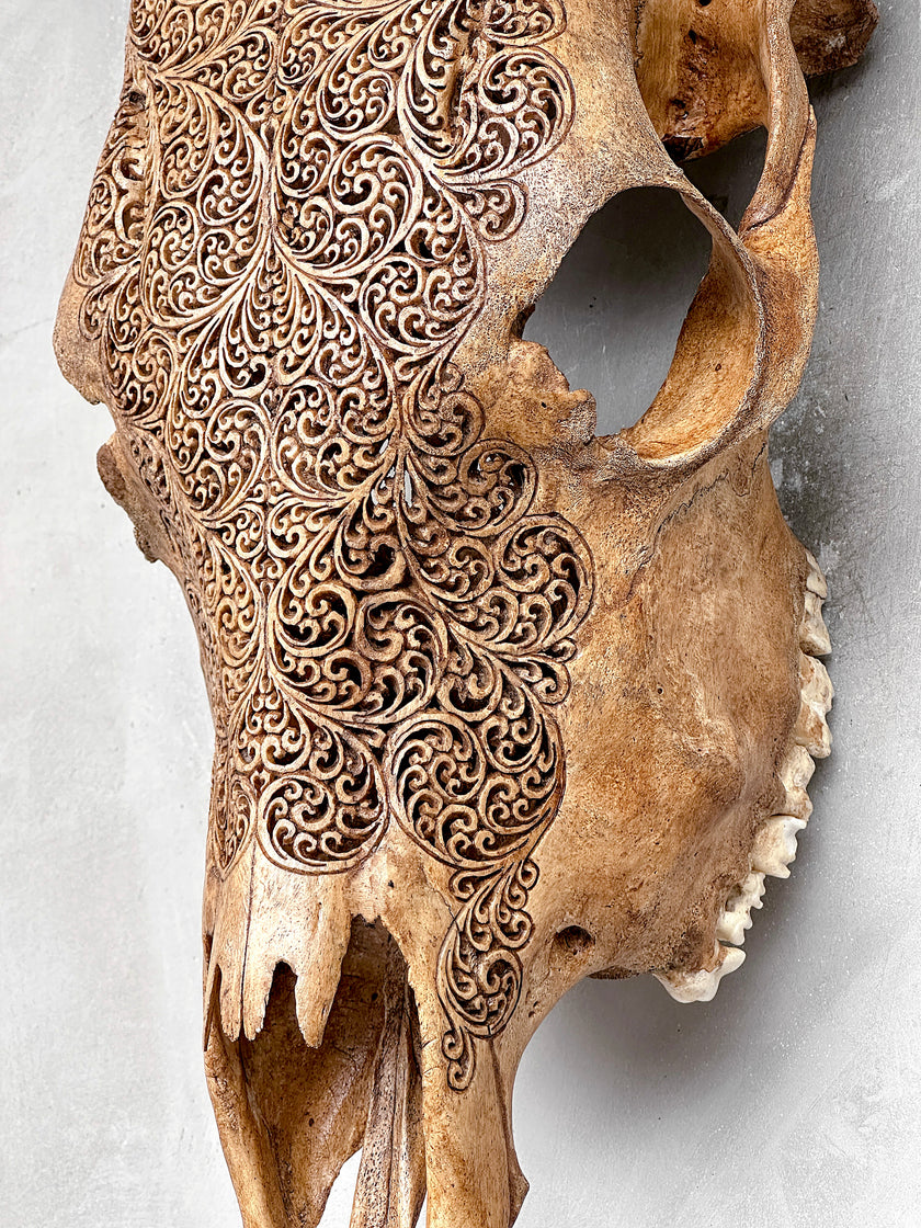 Carved Cow Skulls with Fern Carving Skull,A/183