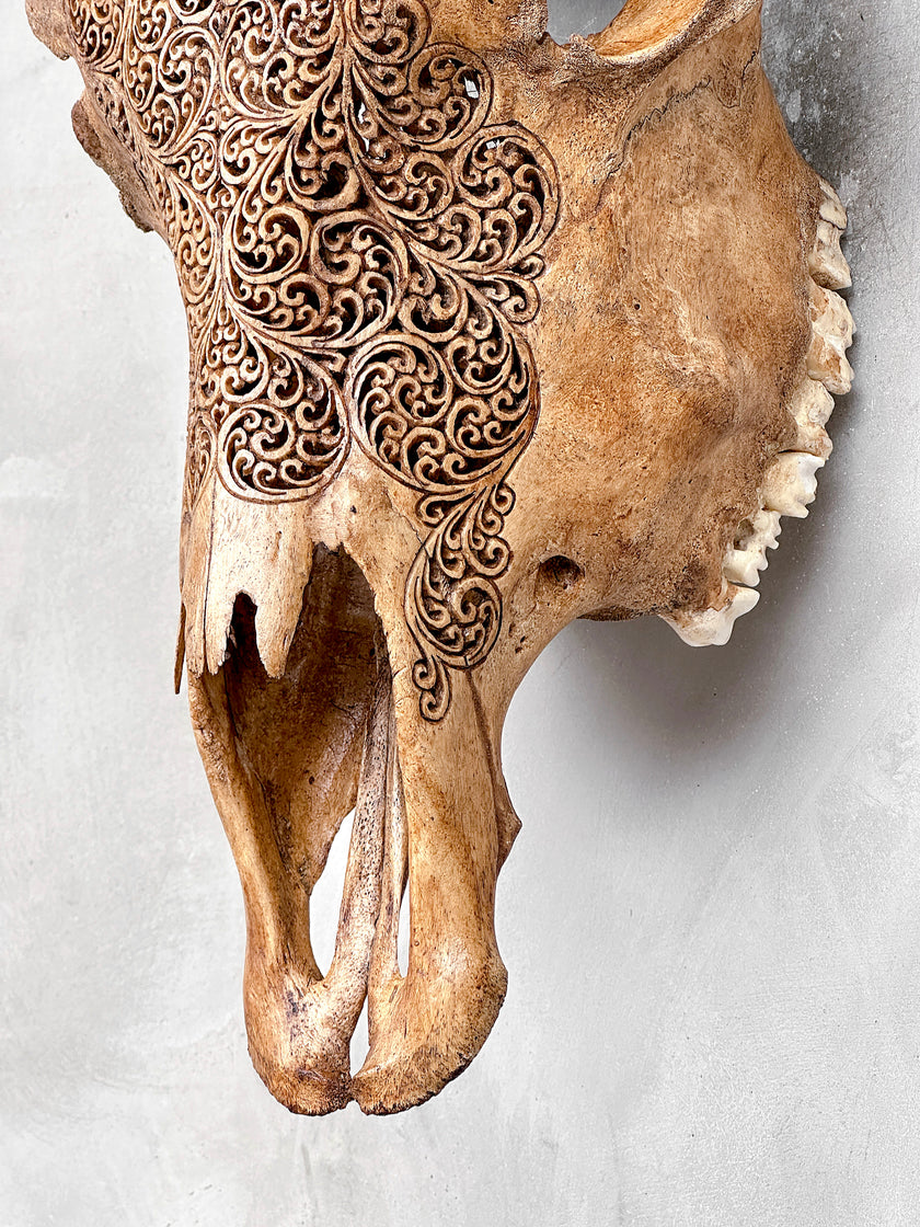 Carved Cow Skulls with Fern Carving Skull,A/183