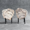 Pair of petrified Wood with stand Pair carving P1/149