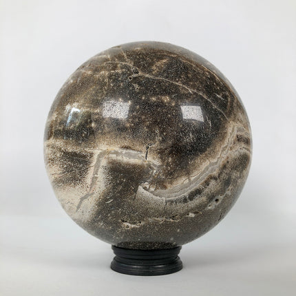 Wonderful Petrified Wood Sphere on a Custom Stand PS 505