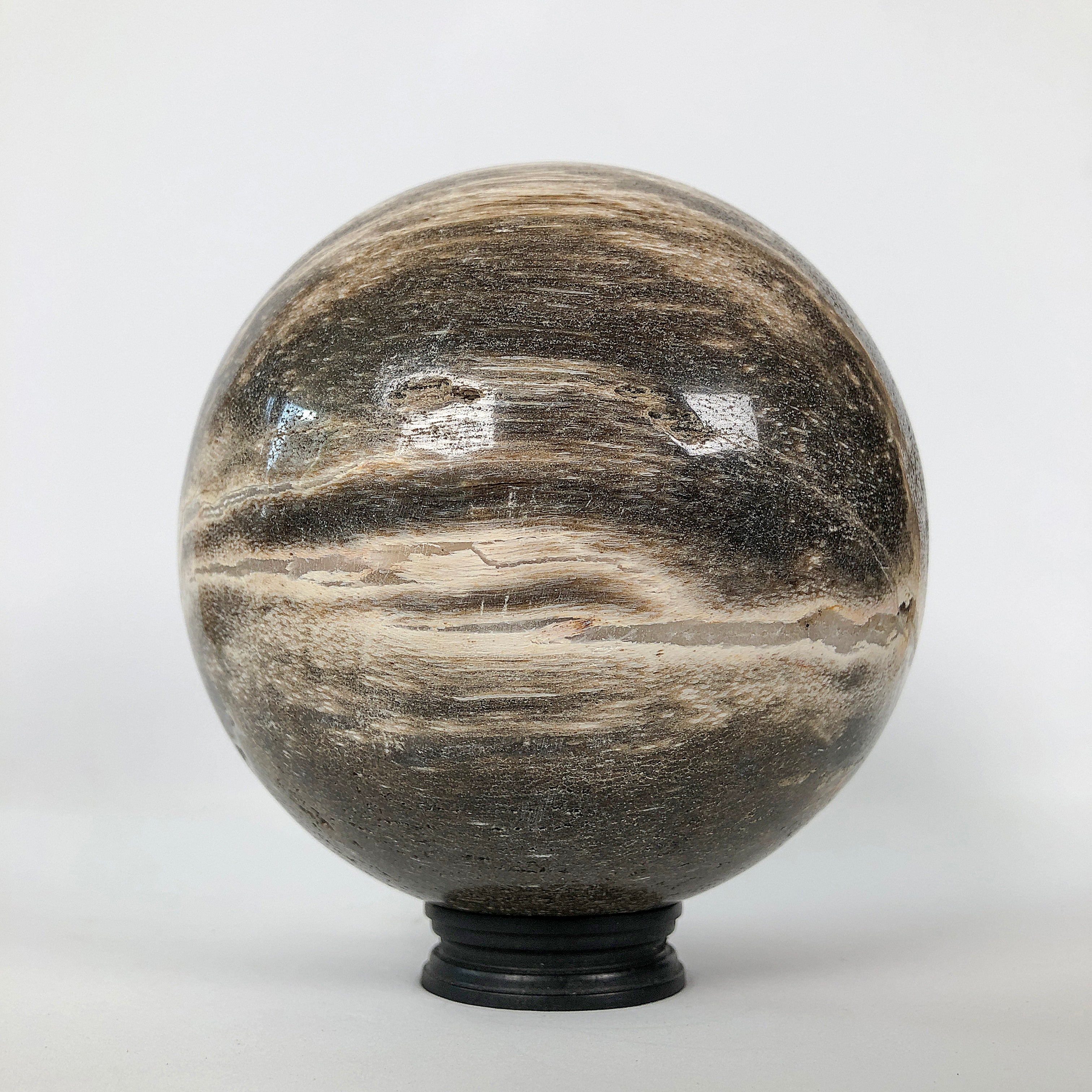 Wonderful Petrified Wood Sphere on a Custom Stand PS 505