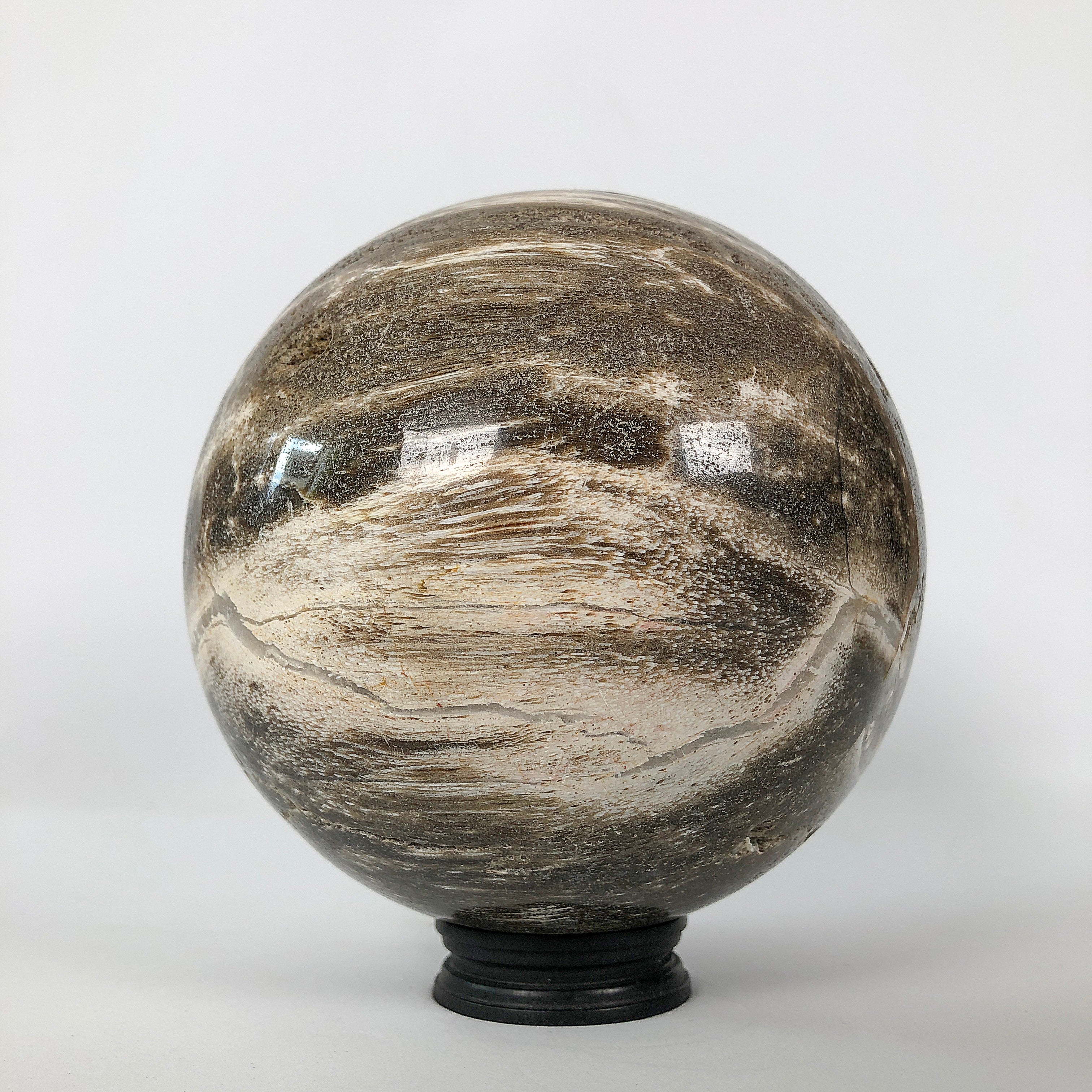 Wonderful Petrified Wood Sphere on a Custom Stand PS 505