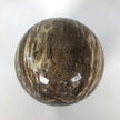 Wonderful Petrified Wood Sphere on a Custom Stand PS 505