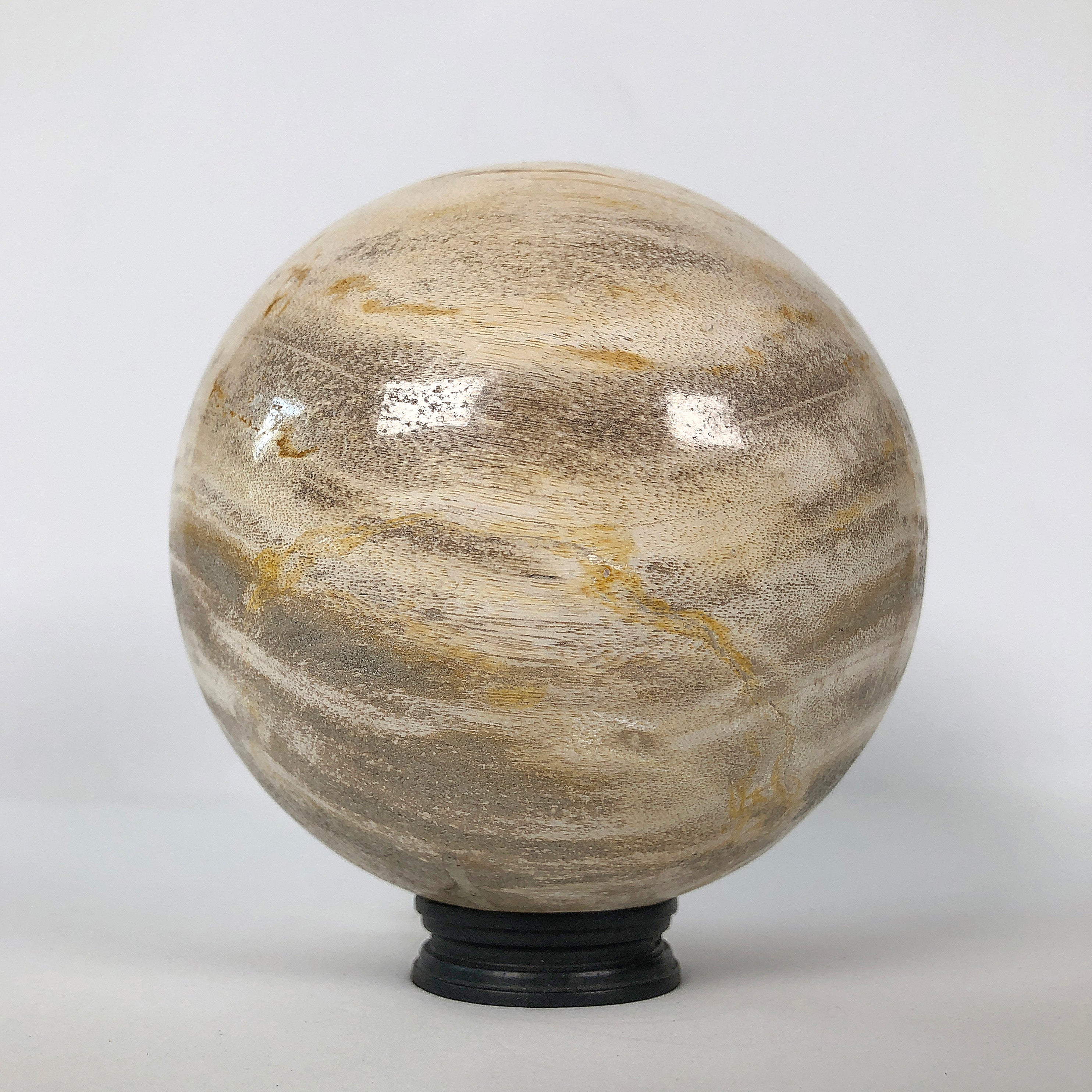 Wonderful Petrified Wood Sphere on a Custom Stand PS 506