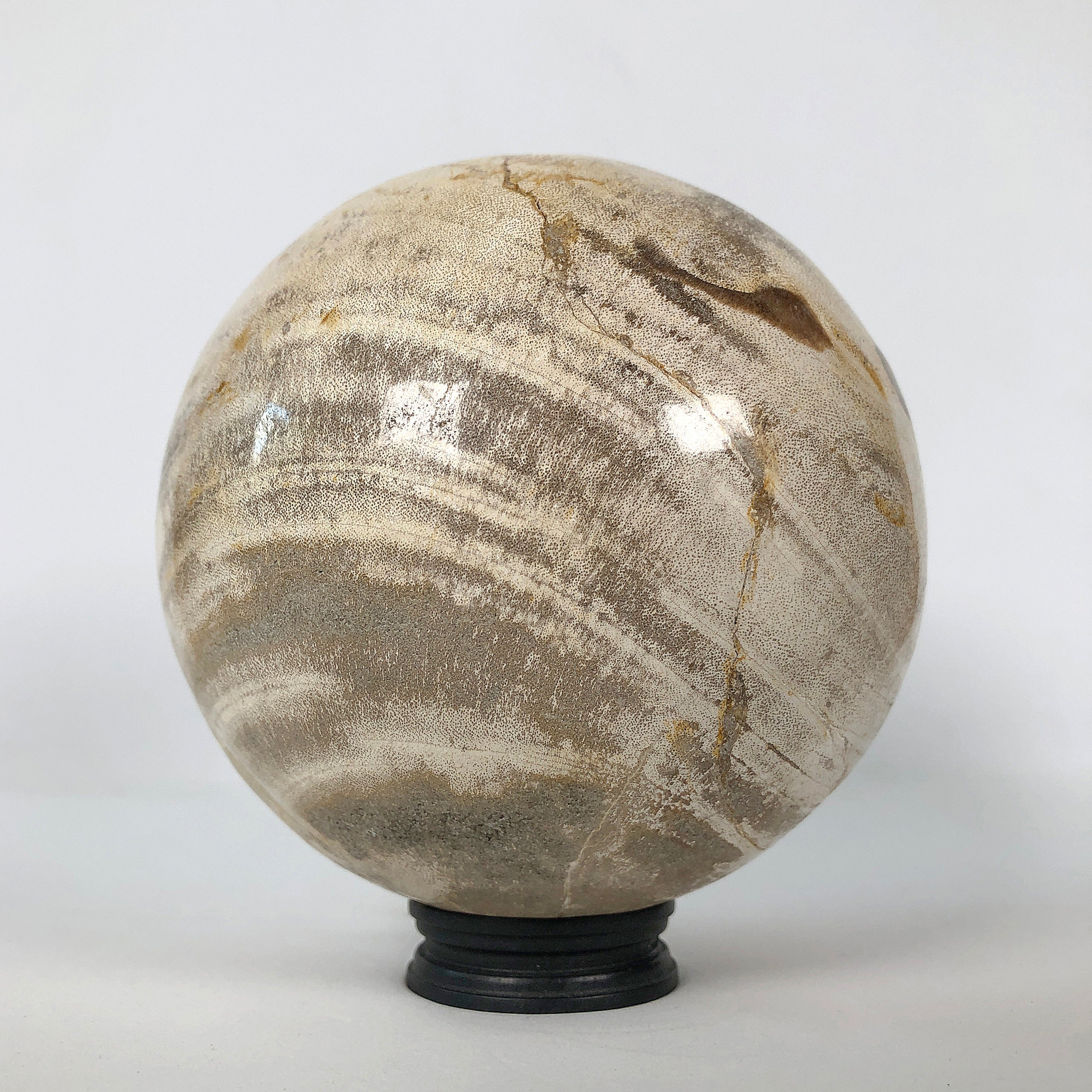 Wonderful Petrified Wood Sphere on a Custom Stand PS 506