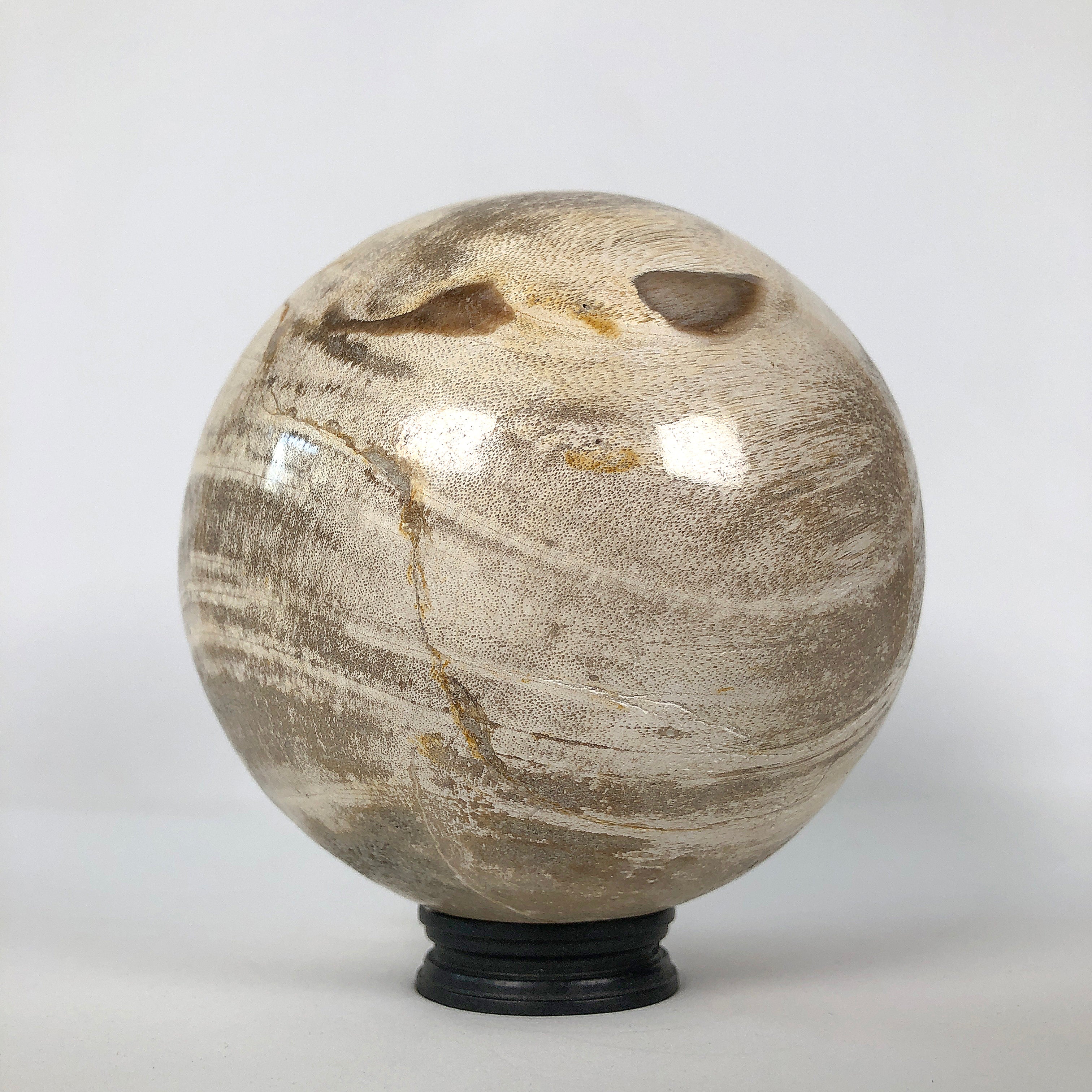 Wonderful Petrified Wood Sphere on a Custom Stand PS 506