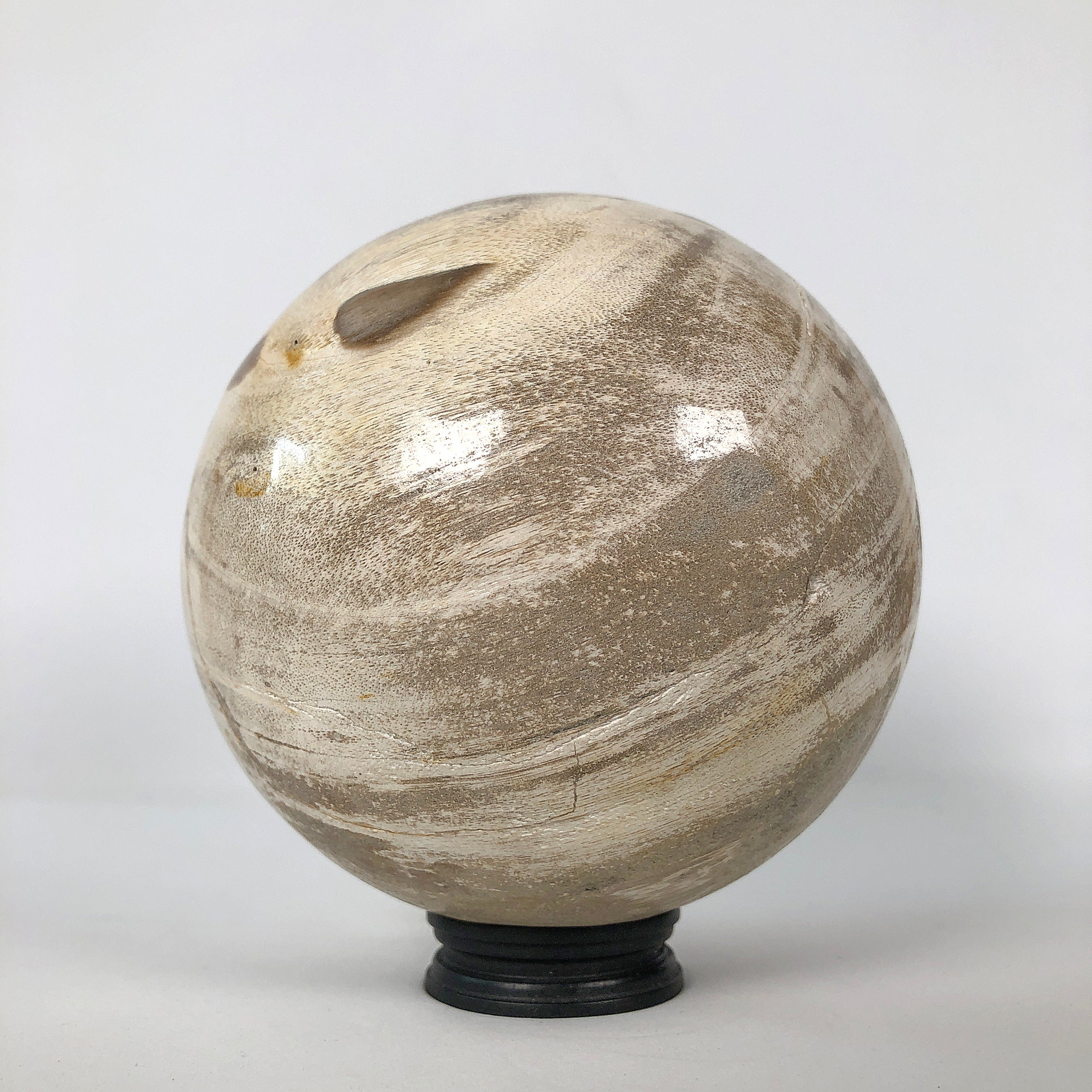 Wonderful Petrified Wood Sphere on a Custom Stand PS 506