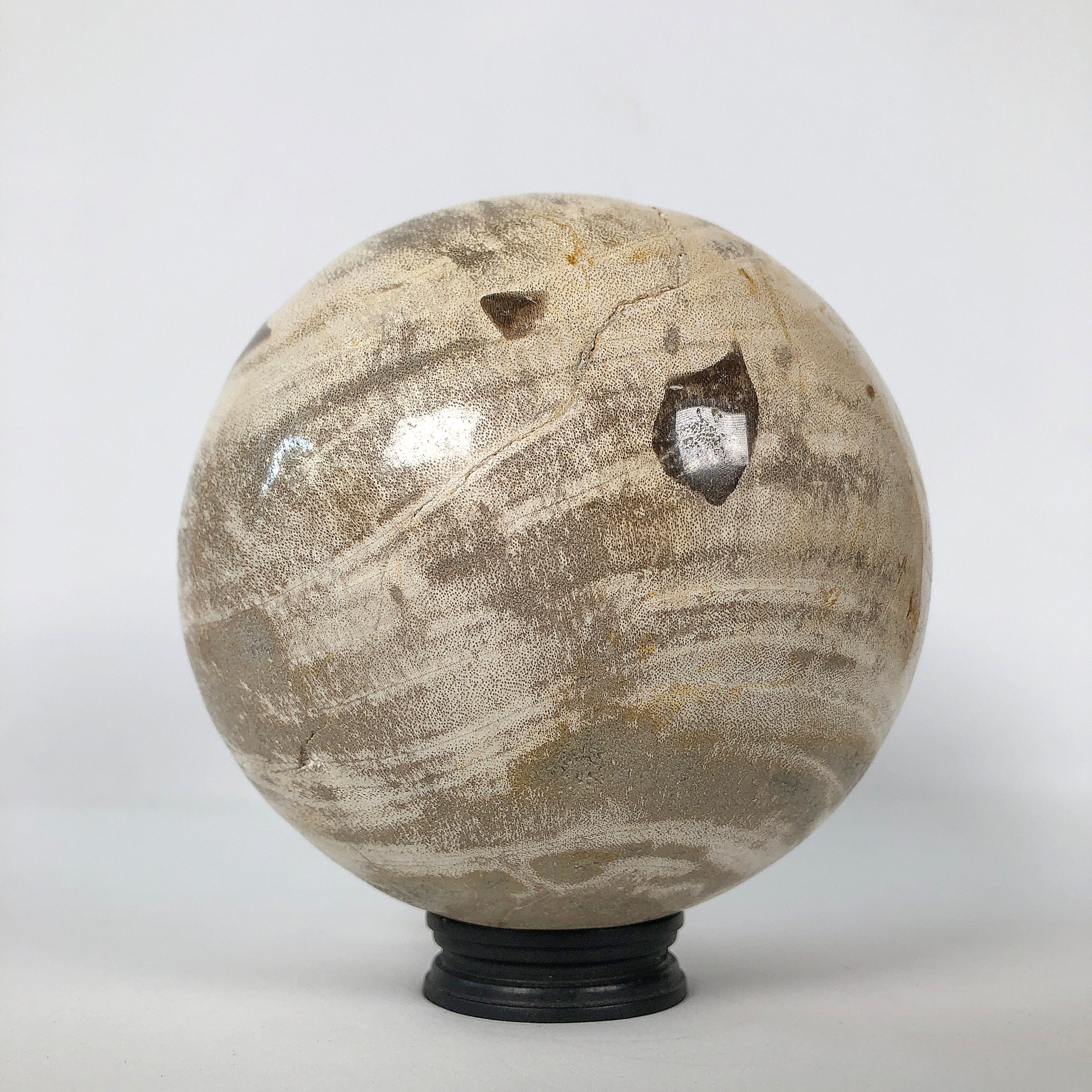 Wonderful Petrified Wood Sphere on a Custom Stand PS 506