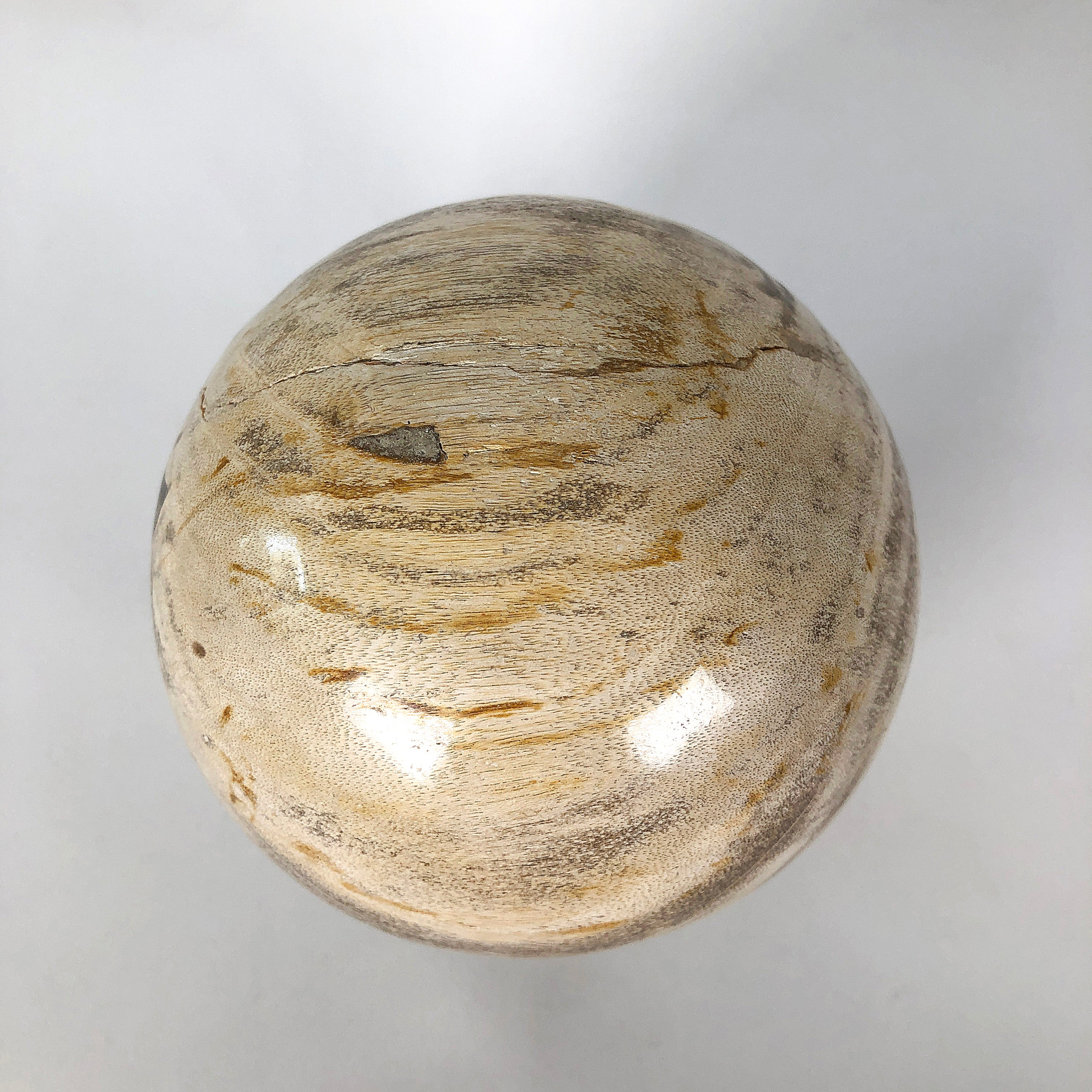 Wonderful Petrified Wood Sphere on a Custom Stand PS 506