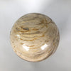 Wonderful Petrified Wood Sphere on a Custom Stand PS 506