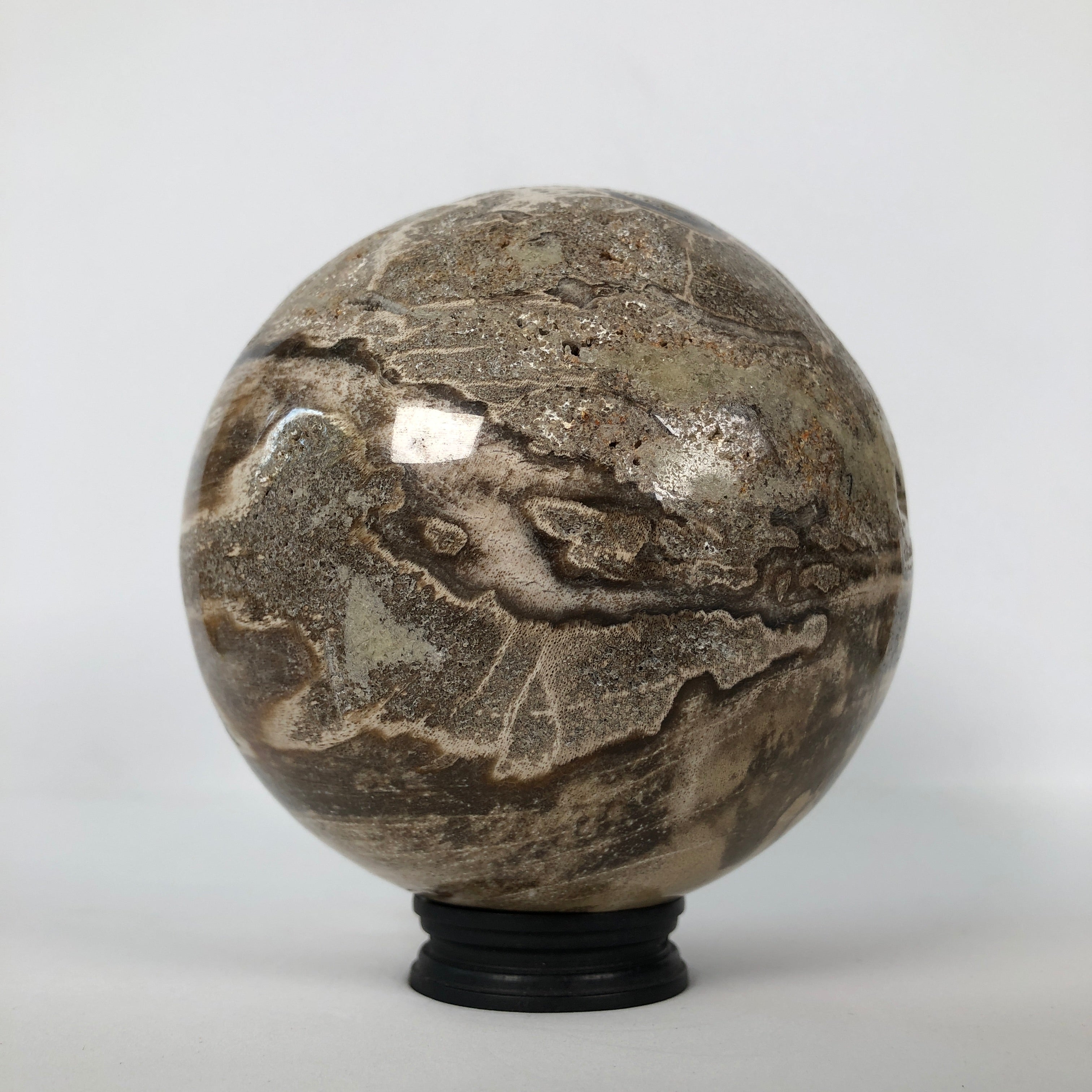 Wonderful Petrified Wood Sphere on a Custom Stand PS 507