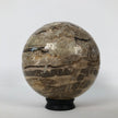 Wonderful Petrified Wood Sphere on a Custom Stand PS 507