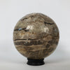 Wonderful Petrified Wood Sphere on a Custom Stand PS 507