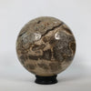 Wonderful Petrified Wood Sphere on a Custom Stand PS 507