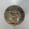 Wonderful Petrified Wood Sphere on a Custom Stand PS 507