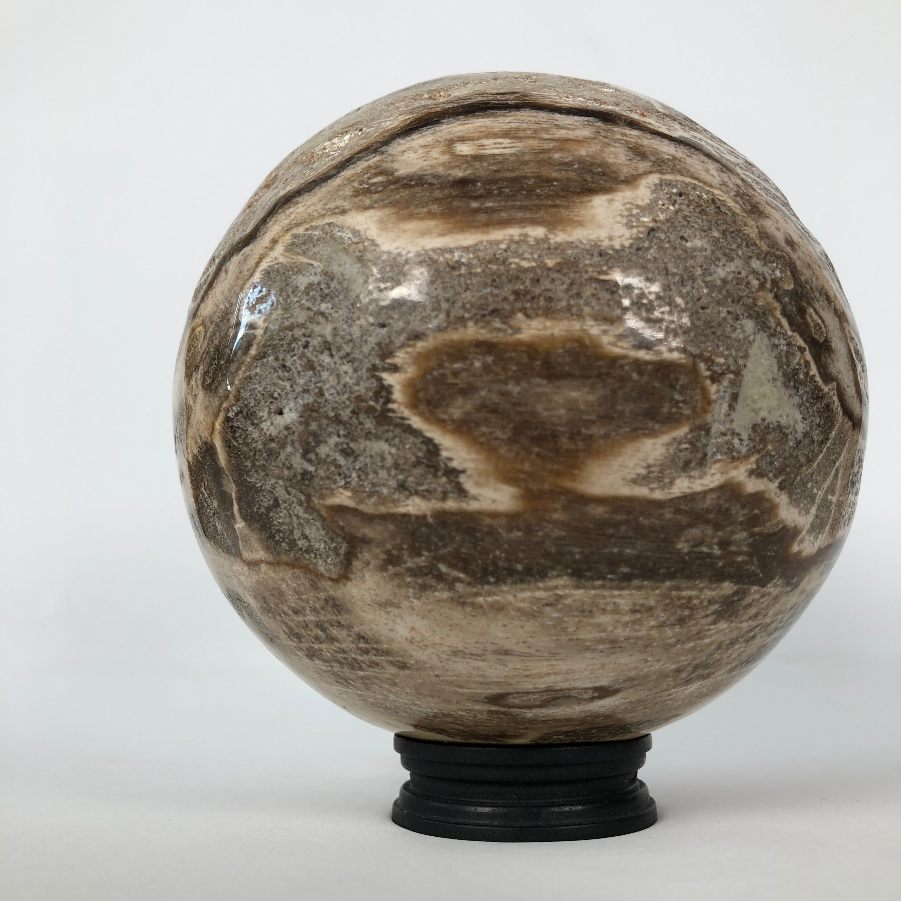 Wonderful Petrified Wood Sphere on a Custom Stand PS 507