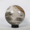 Wonderful Petrified Wood Sphere on a Custom Stand PS 501