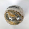 Wonderful Petrified Wood Sphere on a Custom Stand PS 501