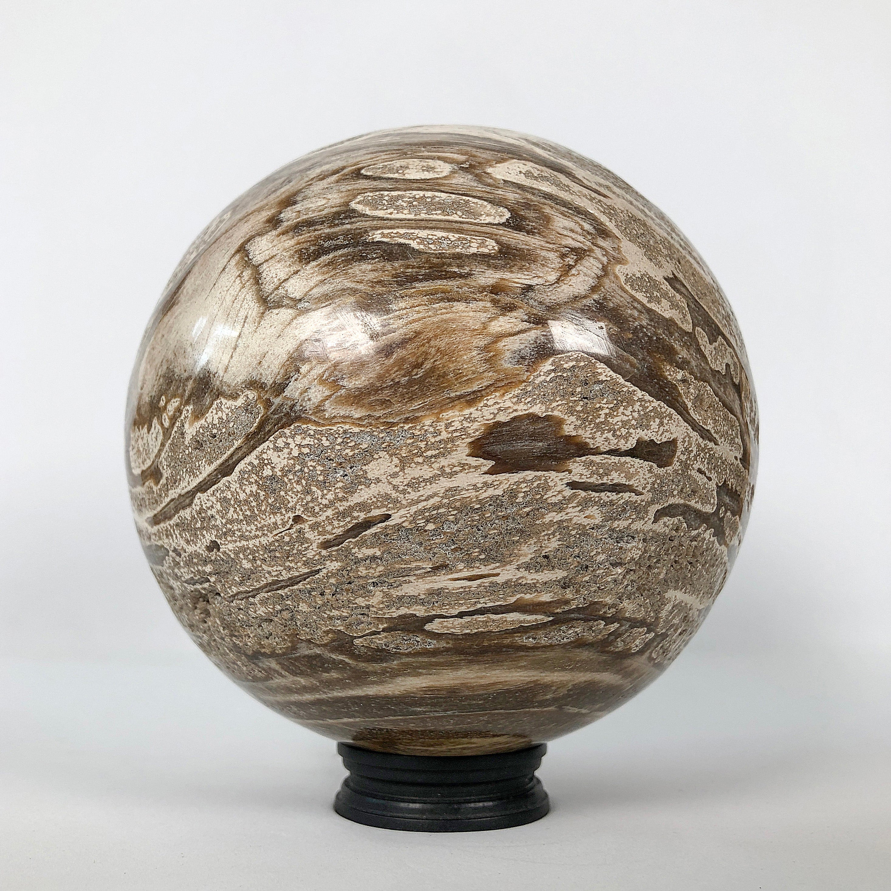 Wonderful Petrified Wood Sphere on a Custom Stand PS 502