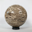 Wonderful Petrified Wood Sphere on a Custom Stand PS 502