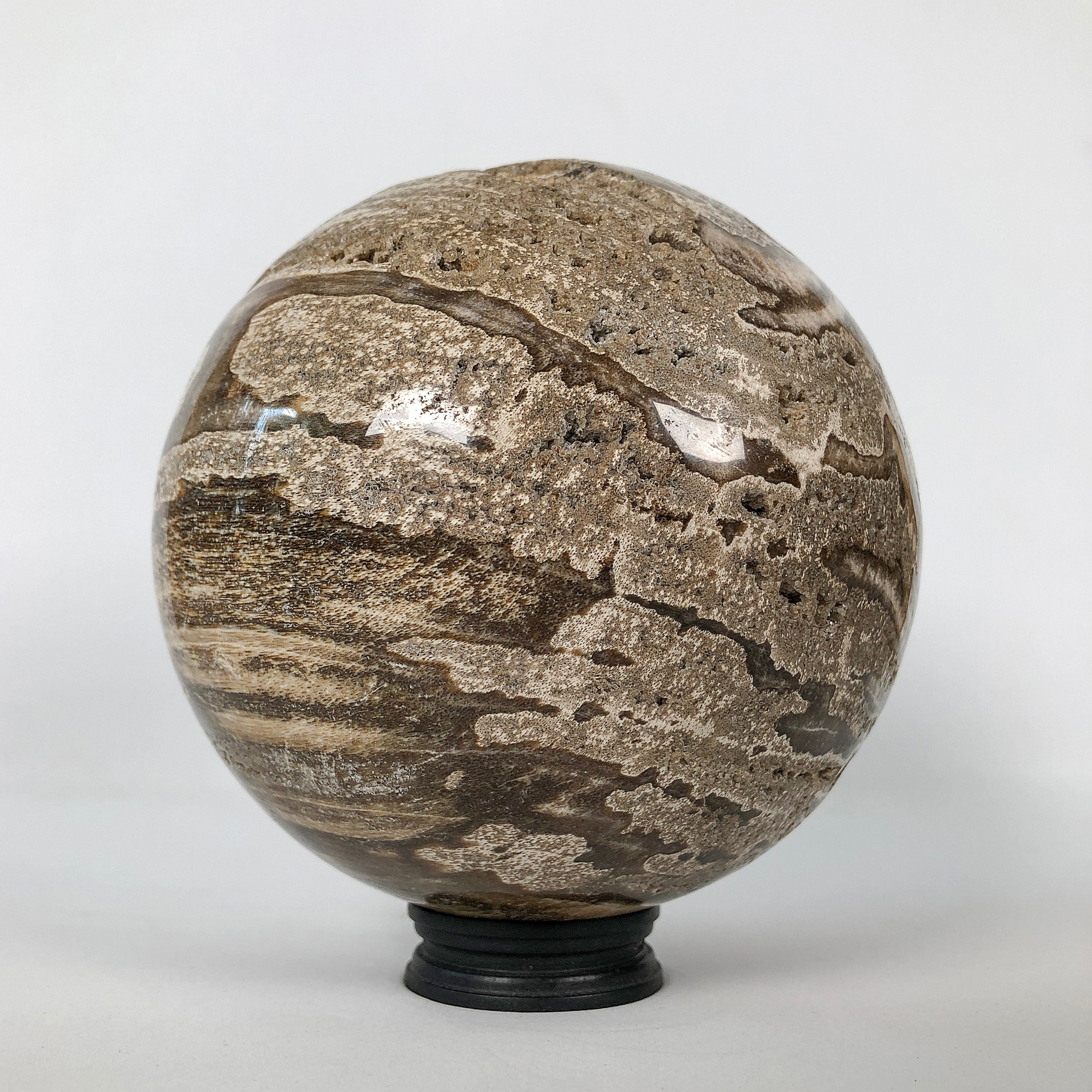 Wonderful Petrified Wood Sphere on a Custom Stand PS 502