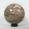 Wonderful Petrified Wood Sphere on a Custom Stand PS 502