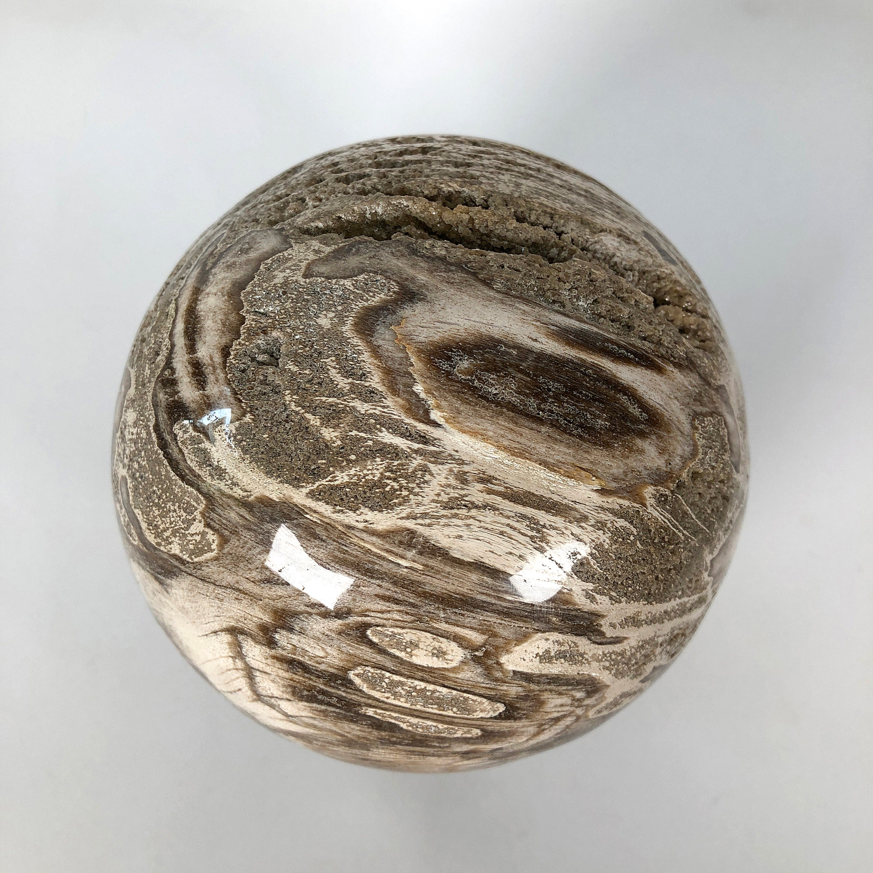 Wonderful Petrified Wood Sphere on a Custom Stand PS 502