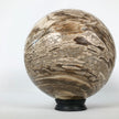 Wonderful Petrified Wood Sphere on a Custom Stand PS 502