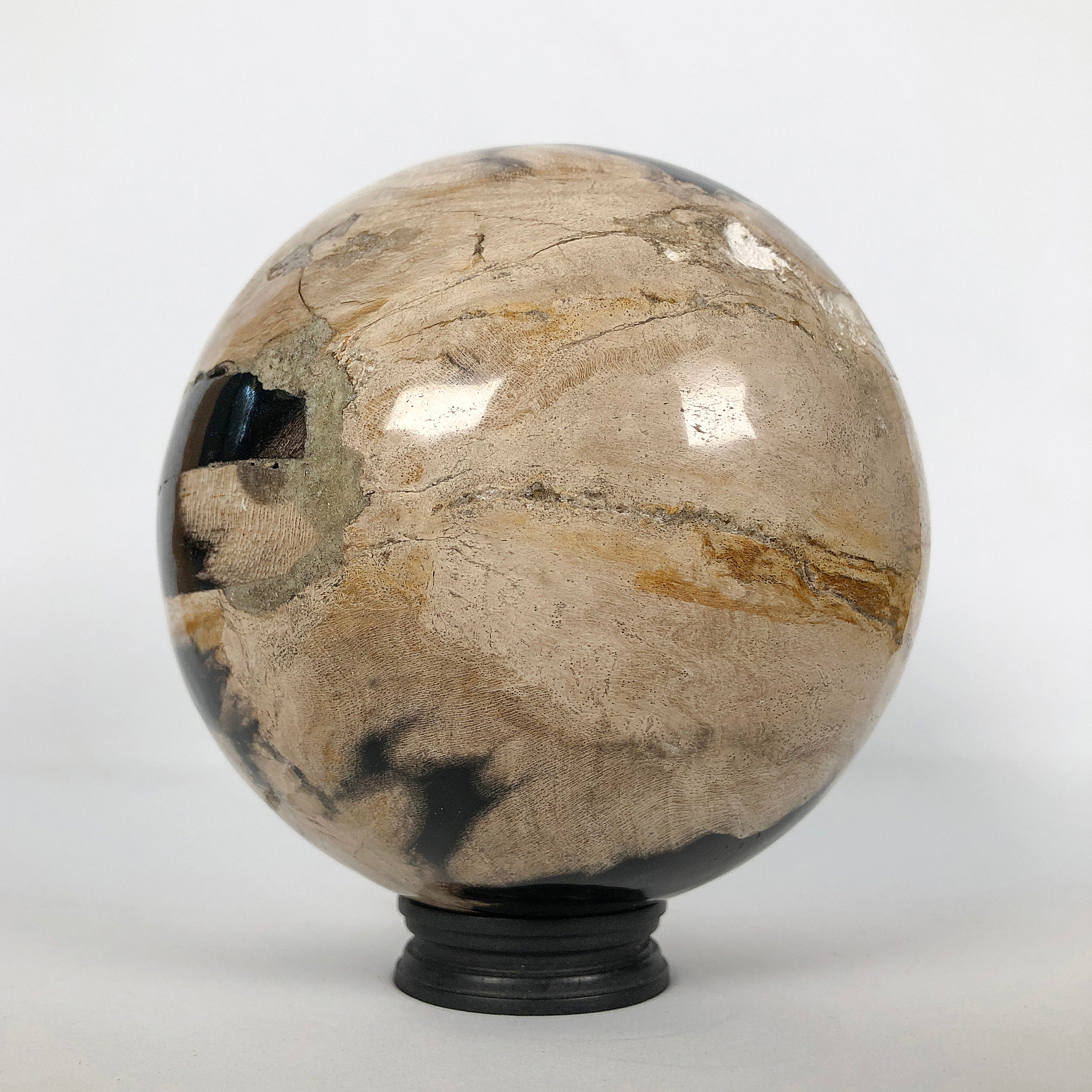 Wonderful Petrified Wood Sphere on a Custom Stand PS 504