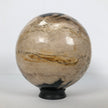 Wonderful Petrified Wood Sphere on a Custom Stand PS 504