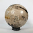 Wonderful Petrified Wood Sphere on a Custom Stand PS 504