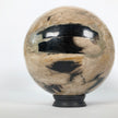 Wonderful Petrified Wood Sphere on a Custom Stand PS 504