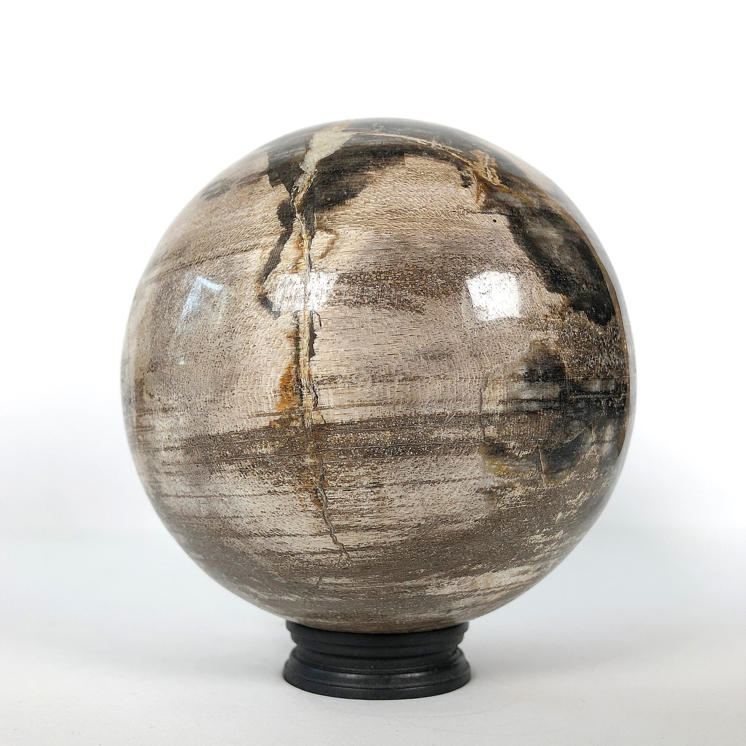 Wonderful Petrified Wood Sphere on a Custom Stand PS 545