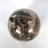 Wonderful Petrified Wood Sphere on a Custom Stand PS 545