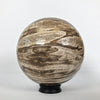 Wonderful Petrified Wood Sphere on a Custom Stand PS 542